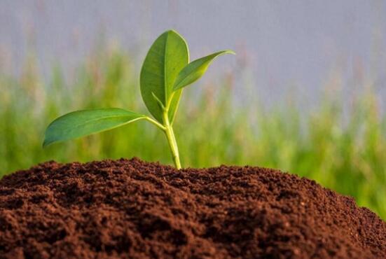 土壤活性酸和潛性酸怎么測(cè)定？