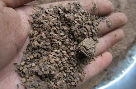 土壤樣品的研磨應(yīng)當(dāng)注意哪些事項(xiàng)